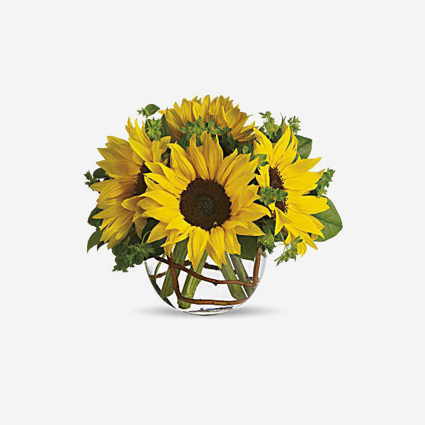 Sunny Sunflowers Yellow